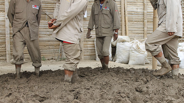 Workers are preparing mud bricks the traditional way for use  in the ruined walls of Caral in Peru.