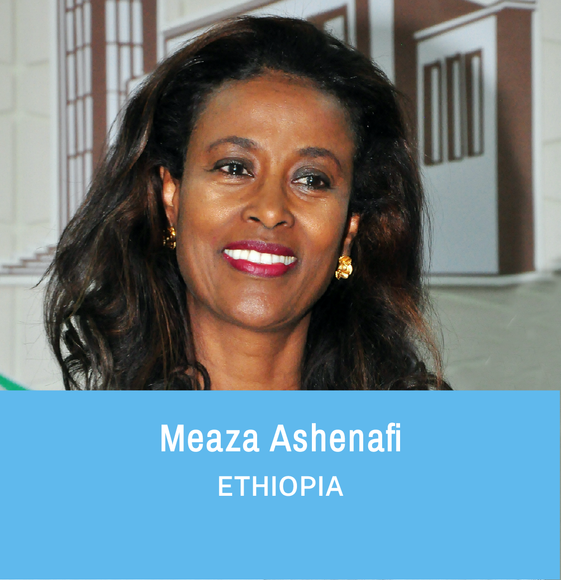 Meaza Ashenafi, Chief Justice of Ethiopia