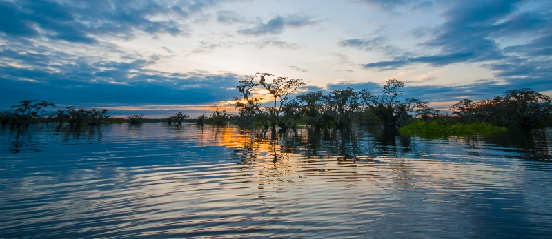 image of the amazon basin