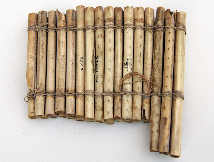 bone musical instrument