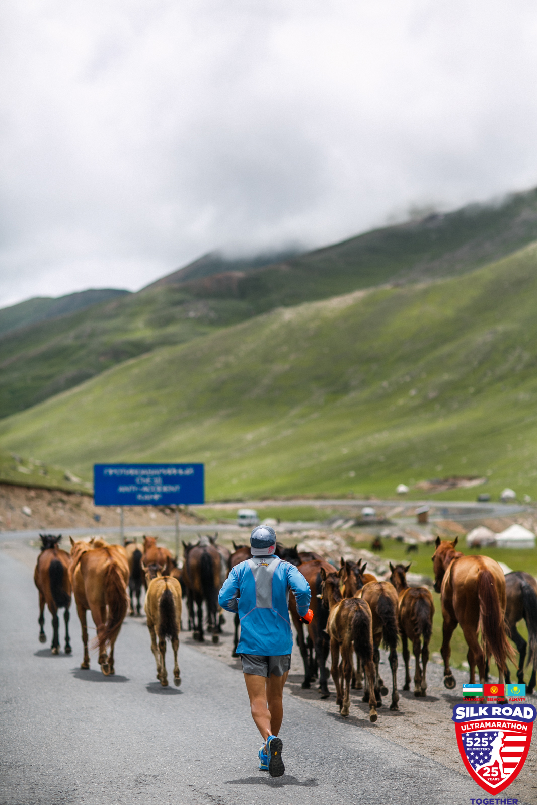Dean runs behind a herd of horses