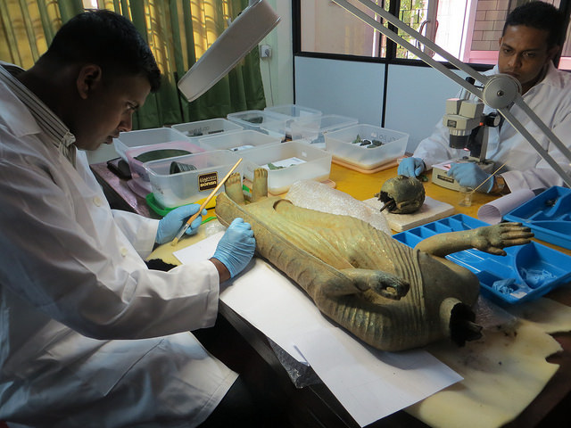 SCA Sri Lanka: Conservation of the Ancient and Medieval Collections of the Department of Archaeology of Sri Lanka