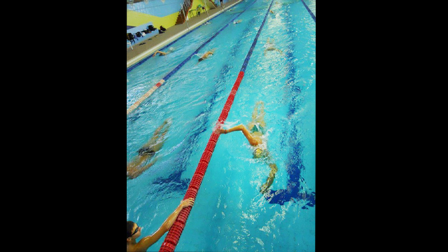 The swimmers warm up for an early morning practice with freestyle laps.