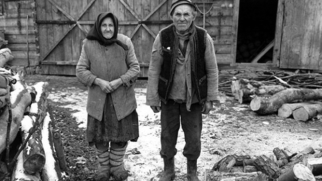 Man and woman standing amid wood