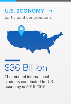 Contribution to US economy 36 Billion