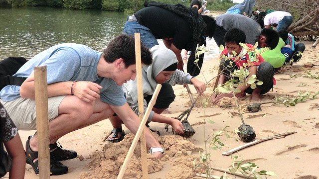 Justin, of Connecticut, plants mangroves with Indonesian students.
