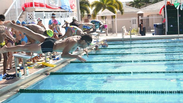 The swimmers dive into the water after the starting whistle.