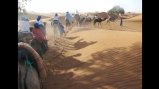 NSLI-Y scholars explore the Sahara Desert