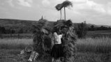 Woman throwing hay on top of a pile of hay