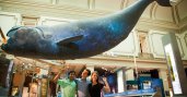 Three students posing in front of a museum whale display
