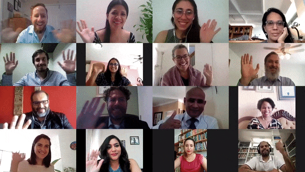IVLP